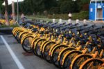 Many yellow bikes standing in a line