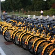 Many yellow bikes standing in a line