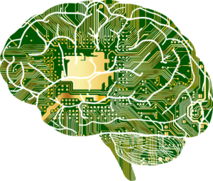 Was sind neuronale Netze? 2 anatomy 1751201 640