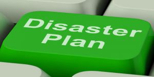 Unternehmerische Resilienz in der Krise 3 Resilienz