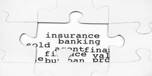 Banken in der Niedrigzinsphase - die Folgen für Kreditinstitute und Verbraucher 1 Niedrigzins