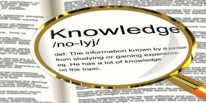 Was ist Outstaffing? 2 Outstaffing